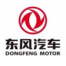 DONGFENG MOTOR